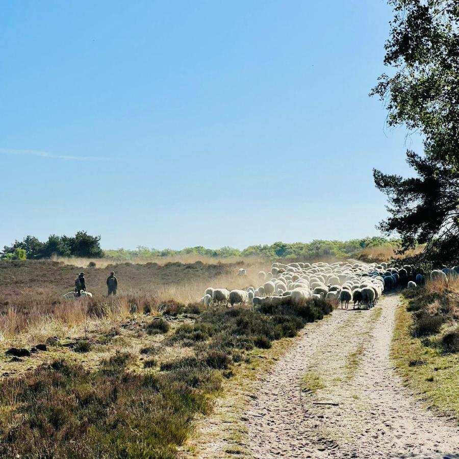 Luxe Vakantiehuis Huismus Veluwe Нюнспет Экстерьер фото